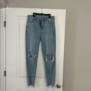 American Eagle Outfitters Light Blue Ripped Skinny Jeans